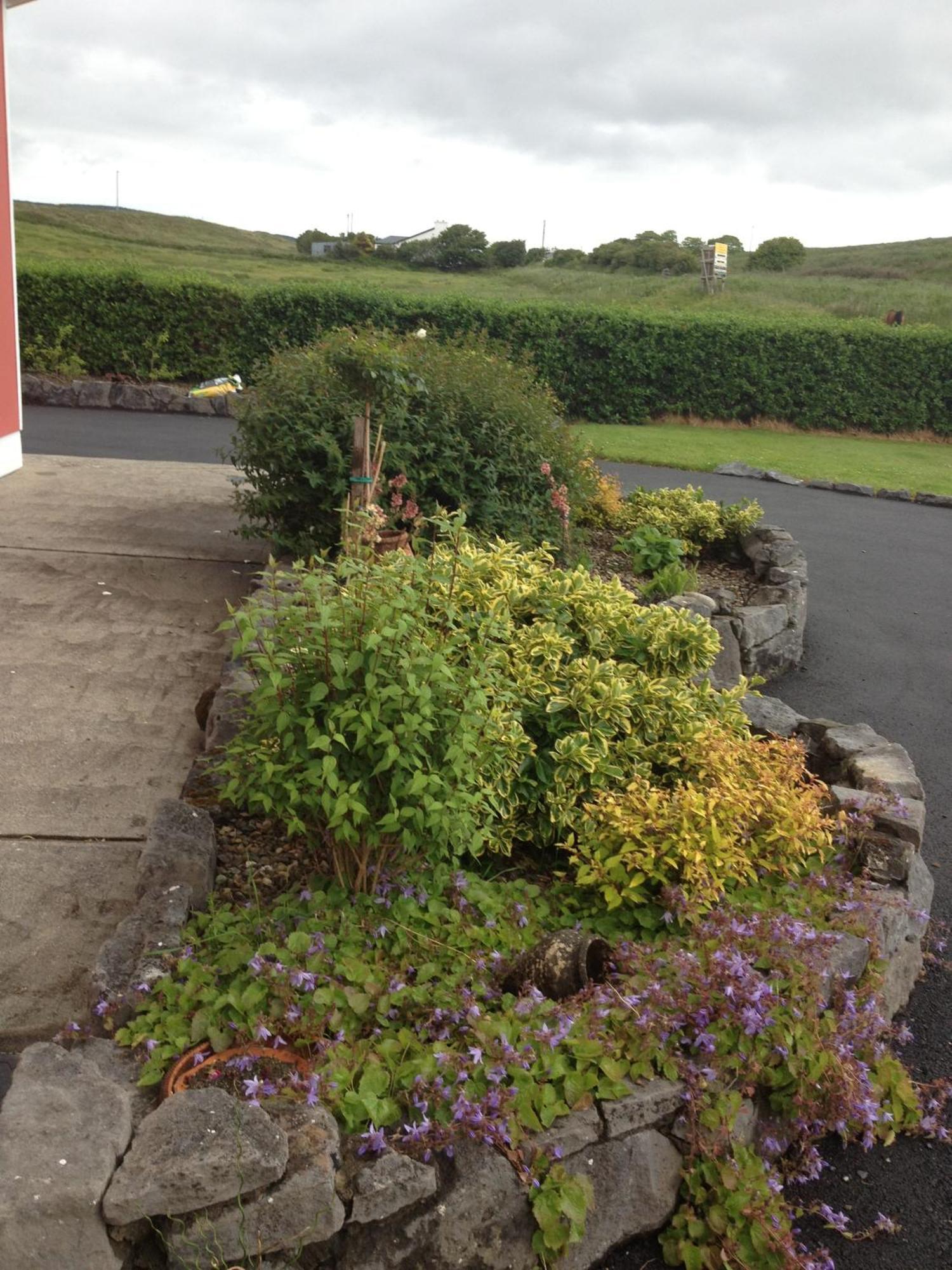 Greenlawn Lodge Lisdoonvarna Exterior photo